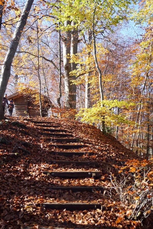 Gemuetliches Haus Mit Sauna Im Voralpenland Peißenberg المظهر الخارجي الصورة